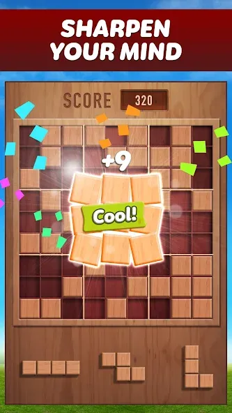 Скачать взломанную Woody 99 — Sudoku Block Puzzle (Вуди 99)  [МОД Много монет] — полная версия apk на Андроид screen 1