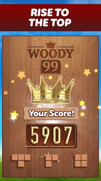 Скачать взломанную Woody 99 — Sudoku Block Puzzle (Вуди 99)  [МОД Много монет] — полная версия apk на Андроид screen 5